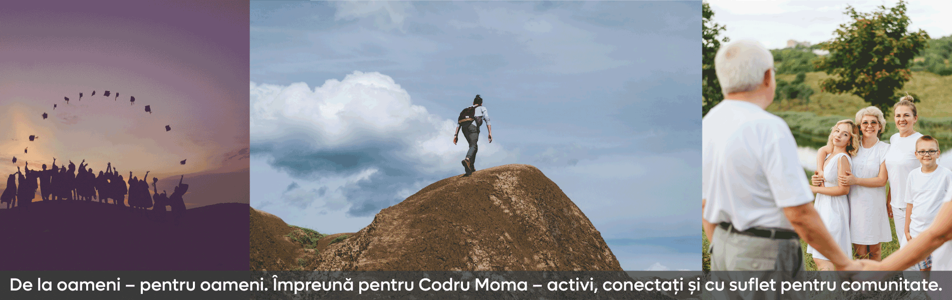 codru moma 6